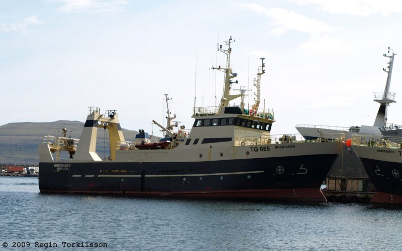Breianes TG 665