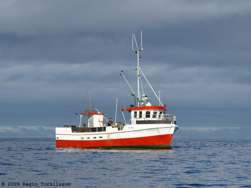 Lmur FD 855