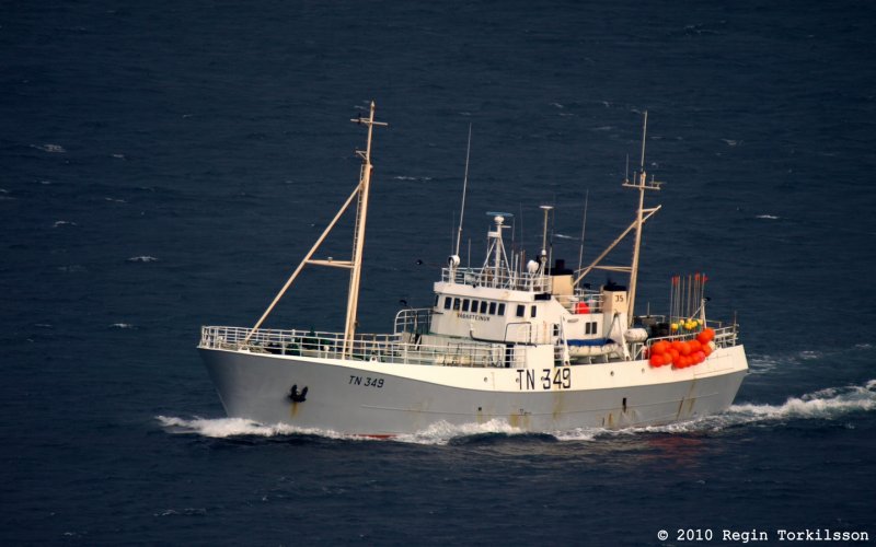 Vasteinur TN 349