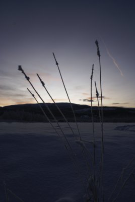 The Blue Hour