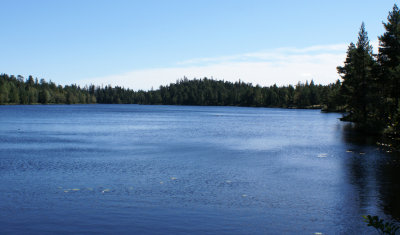 g1/45/773045/3/92697611.IIQVhB9f.jpg