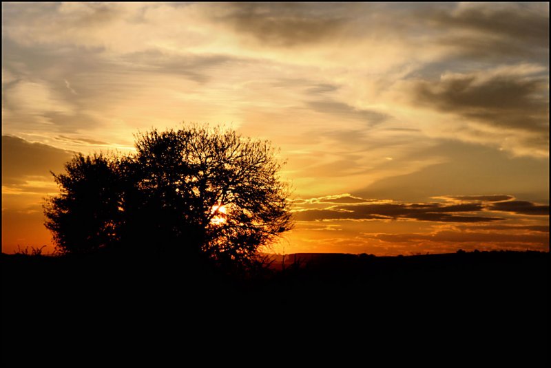 Sunset in African Bushveld 2