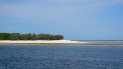 a day on the reef