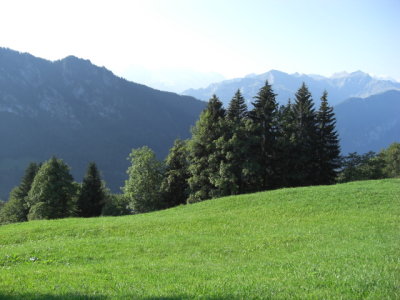 CIMG1579.JPG