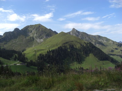 CIMG1586.JPG