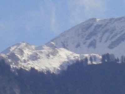 20100806 056.jpg