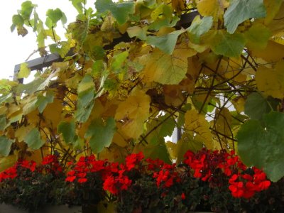 20100806 058.jpg