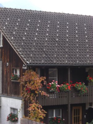 20100806 060.jpg