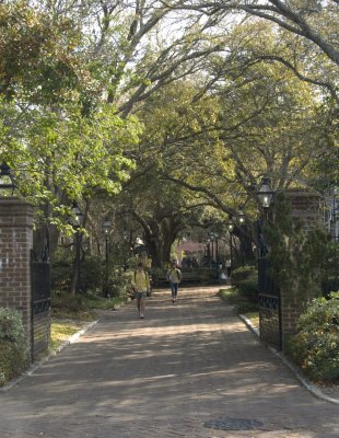 College of Charleston-2.jpg