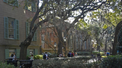 College of Charleston-3.jpg