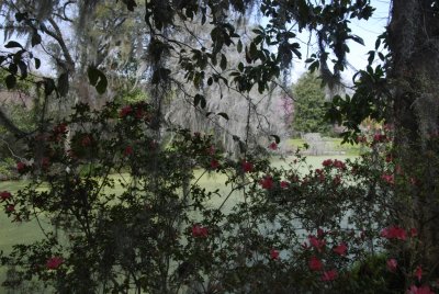 Magnolia Plantation-02.jpg