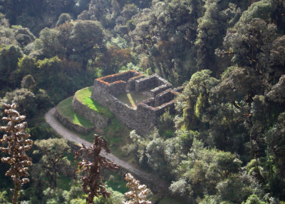 Inca Trail Day 2-09.jpg