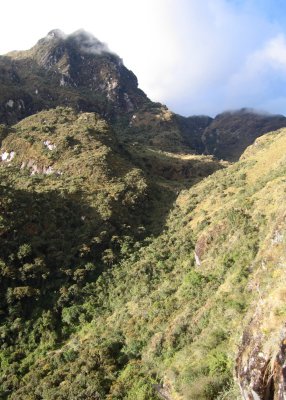 Inca Trail Day 2-11.jpg