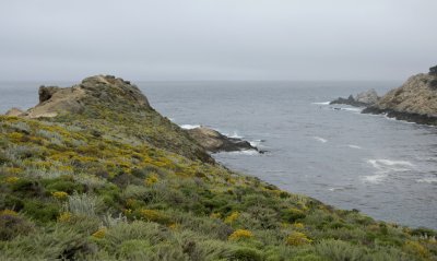 Point Lobos_Carmel-03.jpg