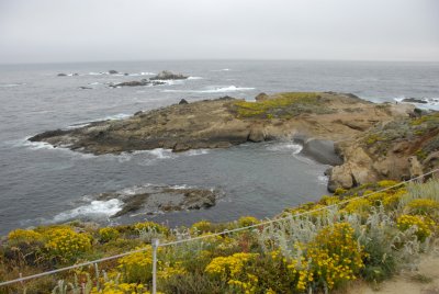 Point Lobos_Carmel-04.jpg