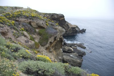 Point Lobos_Carmel-06.jpg