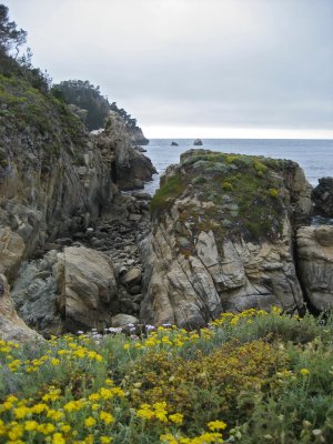 Point Lobos_Carmel-14.jpg