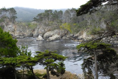 Point Lobos_Carmel-21.jpg