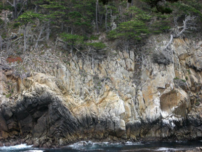 Point Lobos_Carmel-22.jpg