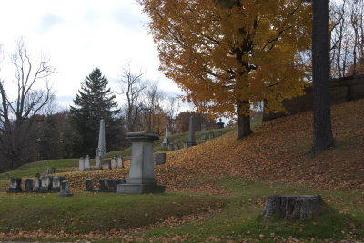 g1/45/795445/3/130348978.agmeRsWp.jpg