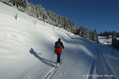 Skiing in the Pralpes