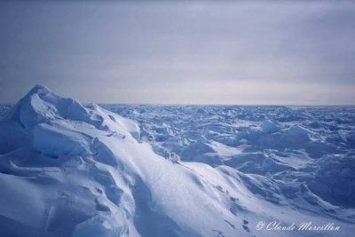 Arctic Expedition Canada