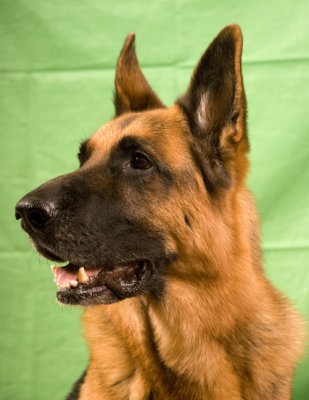 DSC_1620.jpg