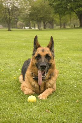Take the ball if you dare !!!