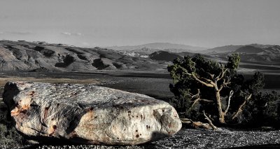 ROCK AND BRISTLECONE WATCH OVER THE VALLEY.jpg