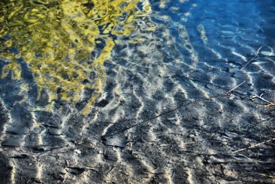 DSC_0048  light ripples reflections om pond 8 s.jpg