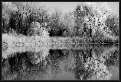 busy reflecting 7.jpg