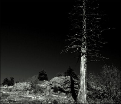 DSC_0030 BW.jpg