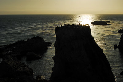 PALE GOLD SUNSET S.jpg