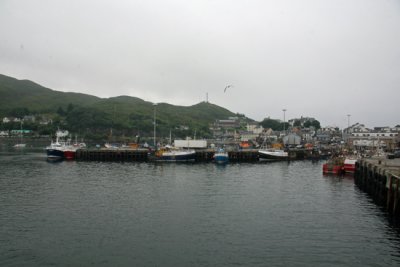Scottish harbour scene
