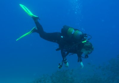 Roxi chasing shoals of fish.