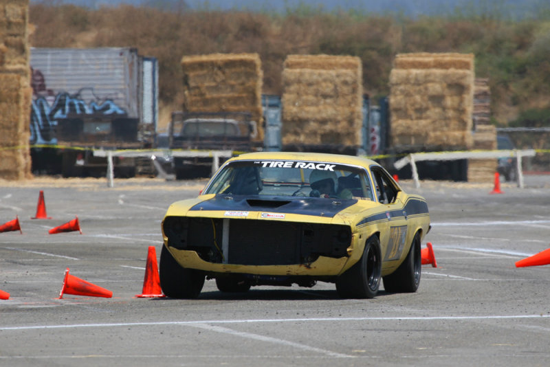 IMG_2554.jpg