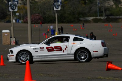 IMG_0484.jpg