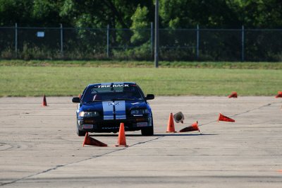 IMG_0506.jpg