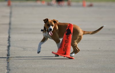 IMG_5622.jpg