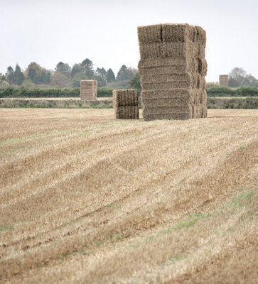 Haybales