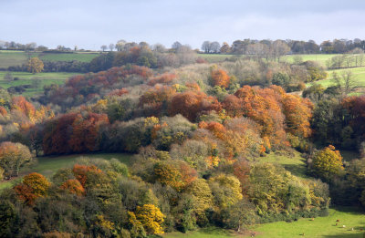 Across the Valley to Thrupp, Gloucestershire