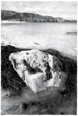 Two shells on a rock on incoming tide(red filter)