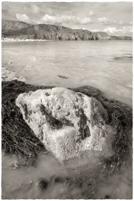 Two shells on a rock on incoming tide(selenium toned)