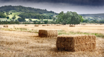 Two haybales and others