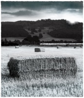 Hayfield, Standish