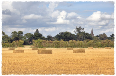 Hayfield and distant church, colour