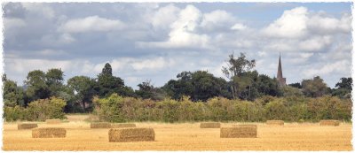 Hayfield panorama