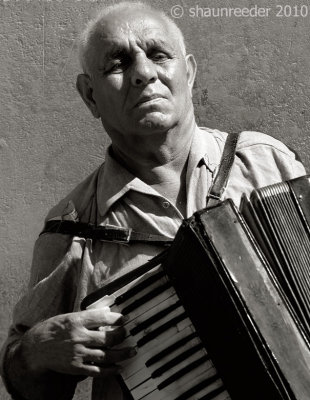 OH385-accordion player