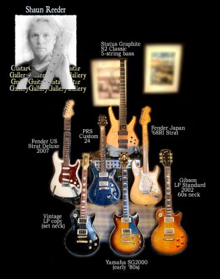 Shaun Reeder: Guitar Gallery