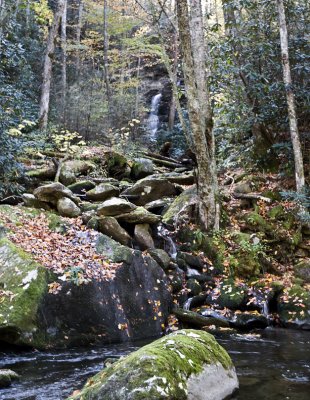 Off the Beaten Path